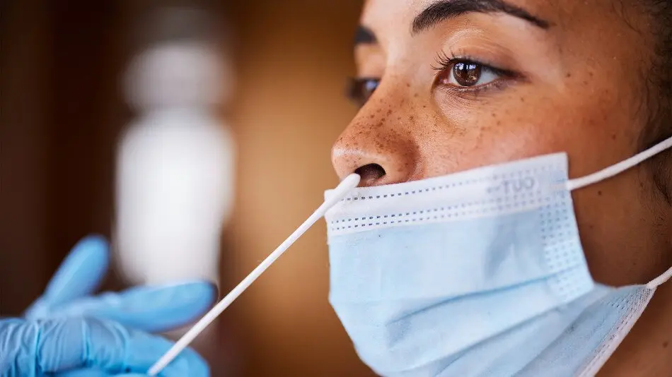 INDICAID_COVID_19_Influenza_A_B_Antigen_Test_PoC_25_Test_Pack_6de8dd88-b36d-4931-9bec-f7b8edb8bafa_03.webp