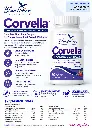 Corvella Flyer.webp