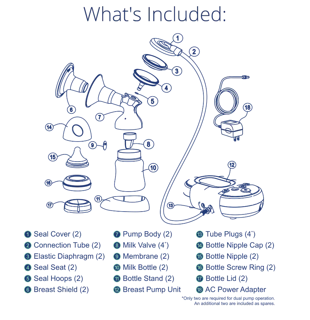 included-info.webp