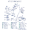 included-info.webp