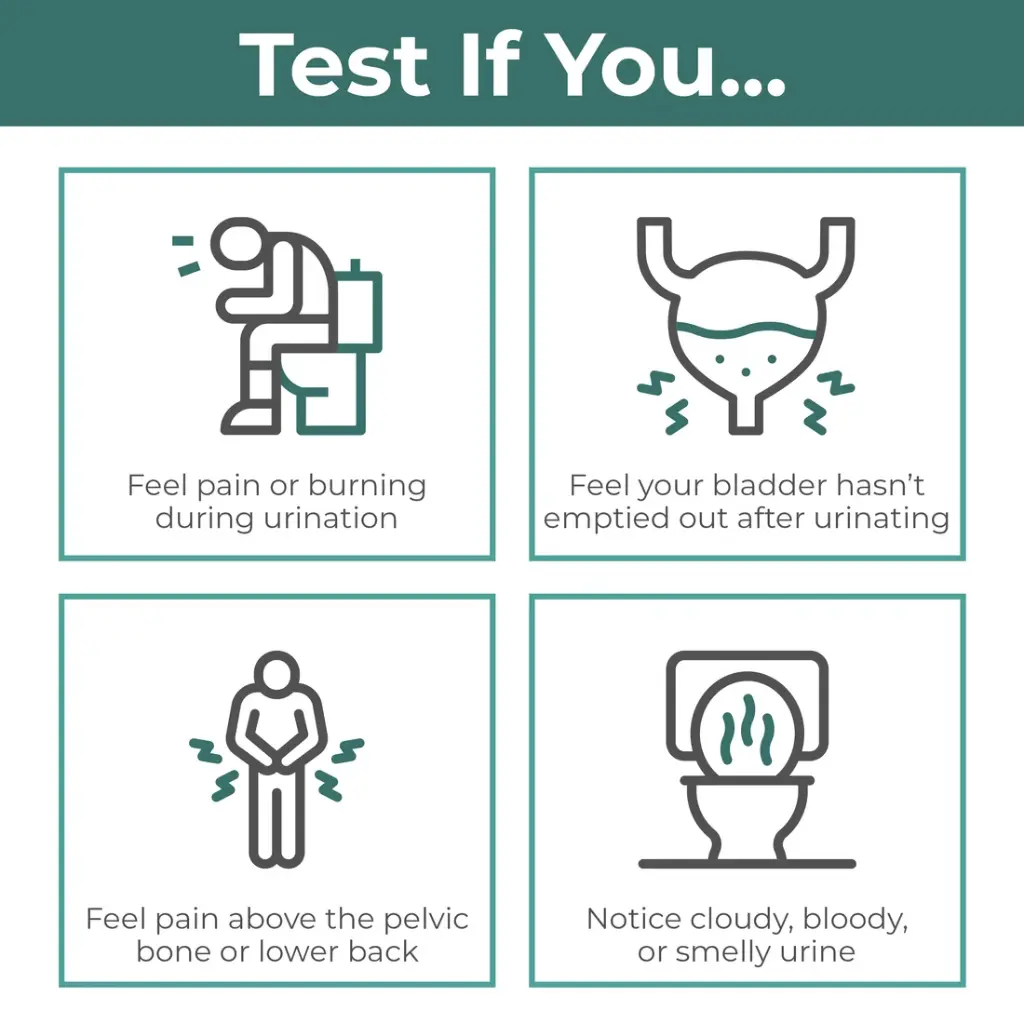 Listing_Images_4_-_Rapid_Test_Strips_-_Indicaid.webp