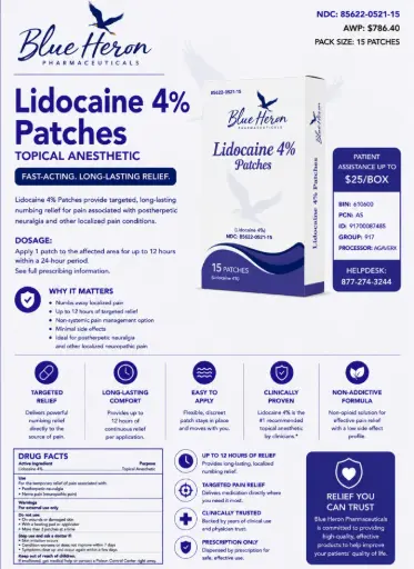 [200101] Lidocaine 4% Patches 15BX